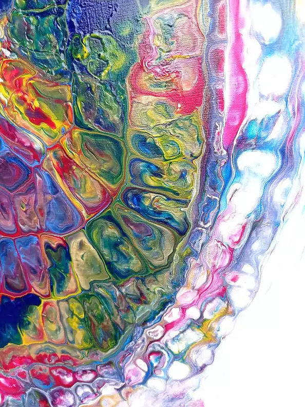 Sebastian Szczepański - Mind Map