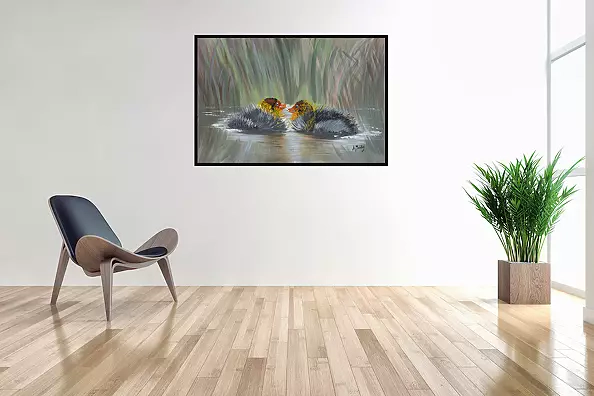 Agnieszka Mantaj - young coots