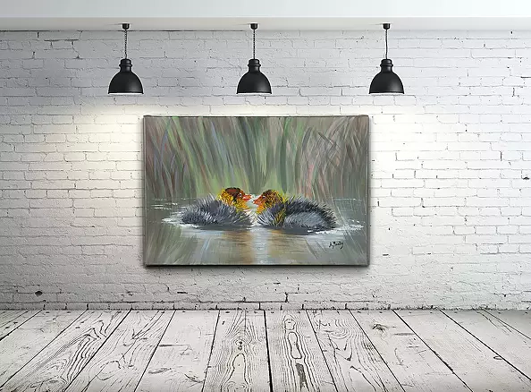 Agnieszka Mantaj - young coots