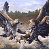 Michał Nowakowski - Young eagles