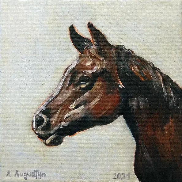 Amelia Augustyn - Młody