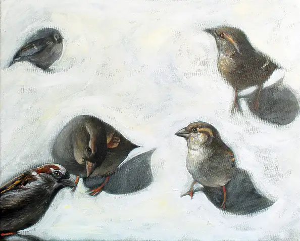Iza Jaśniewska, Młody gniewny, Obraz akrylowy - płótno, 40 x 50