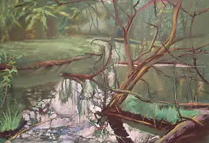 Andrzej Siewierski - Swamp