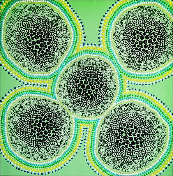 Mariusz Czajkowski - Inspirations aborigènes modernes n° 1