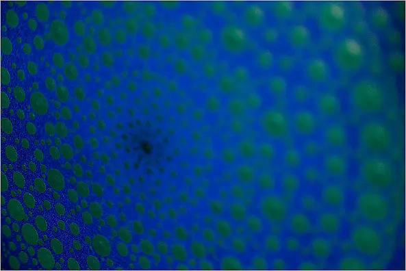 Mariusz Czajkowski - VERKAUFT