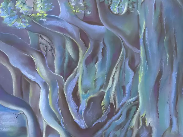 ilona jankowska wojtek - My forest