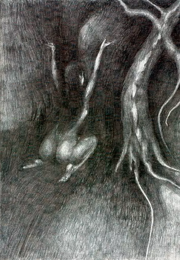 Wojtek Kowalski - My Tree