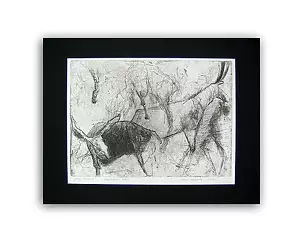 Anna Skowronek - My Lascaux etching graphics