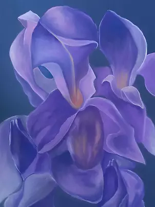 ilona jankowska wojtek - My irises