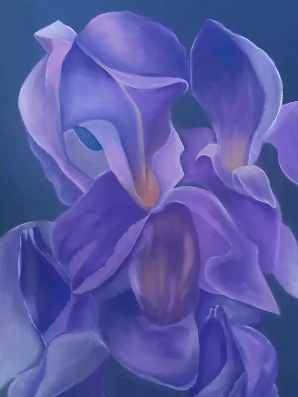 ilona jankowska wojtek - My irises