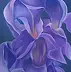 ilona jankowska wojtek - My irises