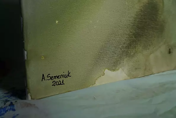 Aleksandra Semeniuk - My mists 1