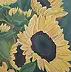 Luba Santkiewicz - My sunflowers