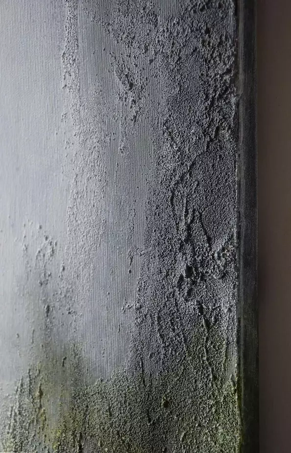 Kamila Ossowska - Wetlands