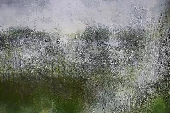 Kamila Ossowska - Wetlands