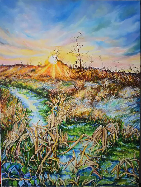 Zenon Gleń - wetlands