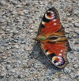 Elżbieta Mozyro - Il momento è un momento