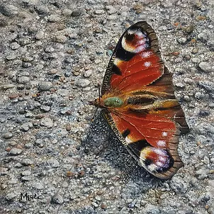 Elżbieta Mozyro - The moment is a moment