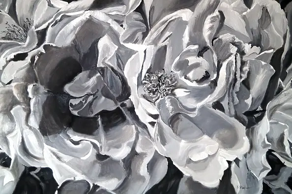 Ewa Słodzińska - Monochromatic roses