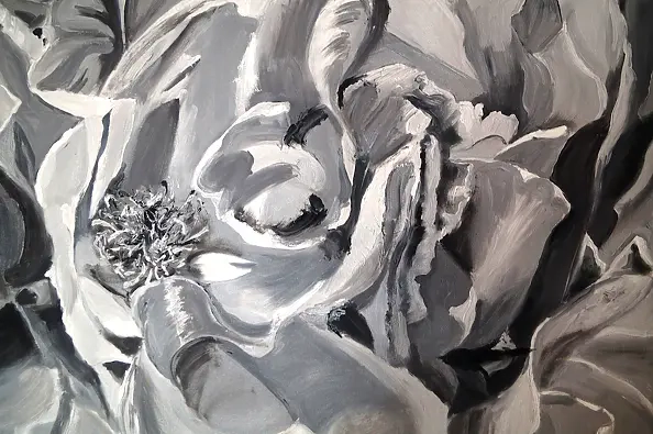 Ewa Słodzińska - Monochromatic roses