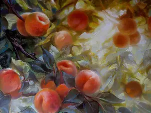 Maria Gruza - Apricots