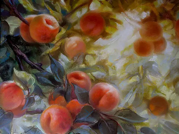 Maria Gruza - Apricots