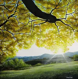 Marco Trogi - Morning