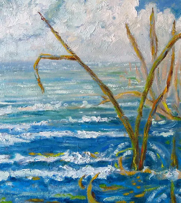 Elżbieta Goszczycka - Seagrass