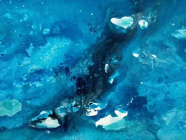 Marlena Majchrzak - Sea