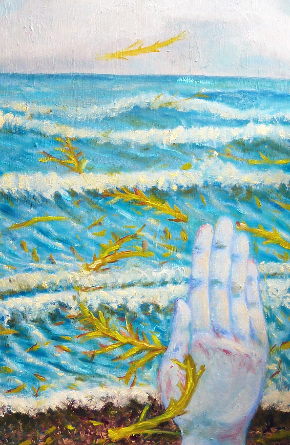 Elżbieta Goszczycka - Morze nieczynne