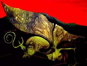 Małgorzata Suwalska - Motyl