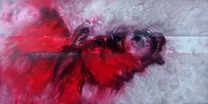 Mariola Świgulska - butterfly