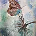 Nataliia Liamina - Schmetterling