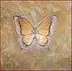 Anna Szyszka - Butterfly gold