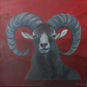 Izabela Dąbrowska - mouflon