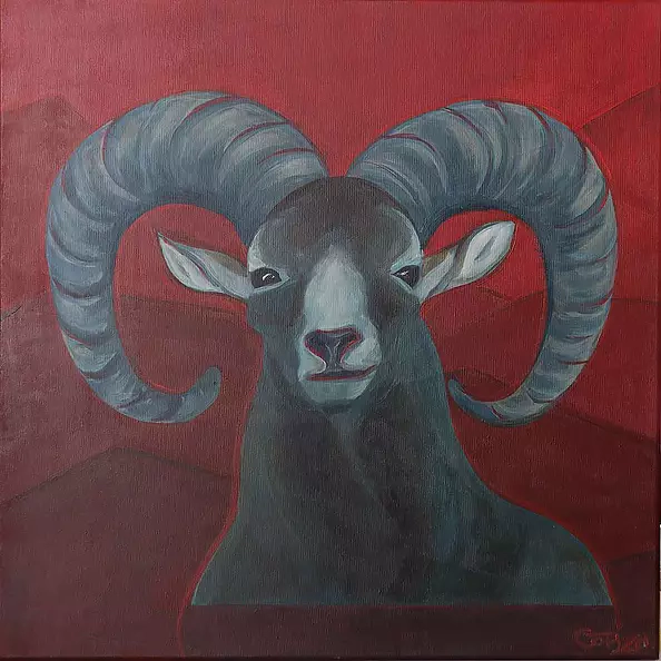 Izabela Dąbrowska - Muflon