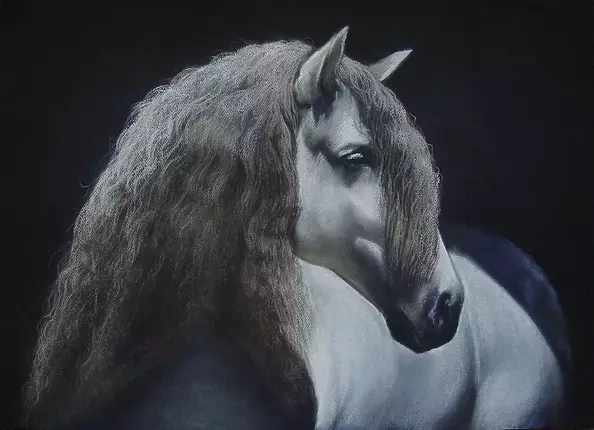 Robert Chełchowski - Mulan