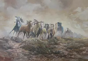 Jolanta Madej - Mustangs