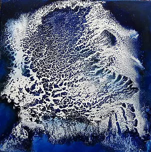 Włodzimierz Draczyński - Muszla morska