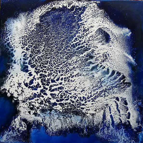 Włodzimierz Draczyński - Muszla morska