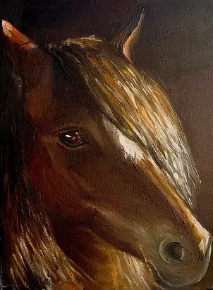 Małgorzata Mutor - Moja klacz