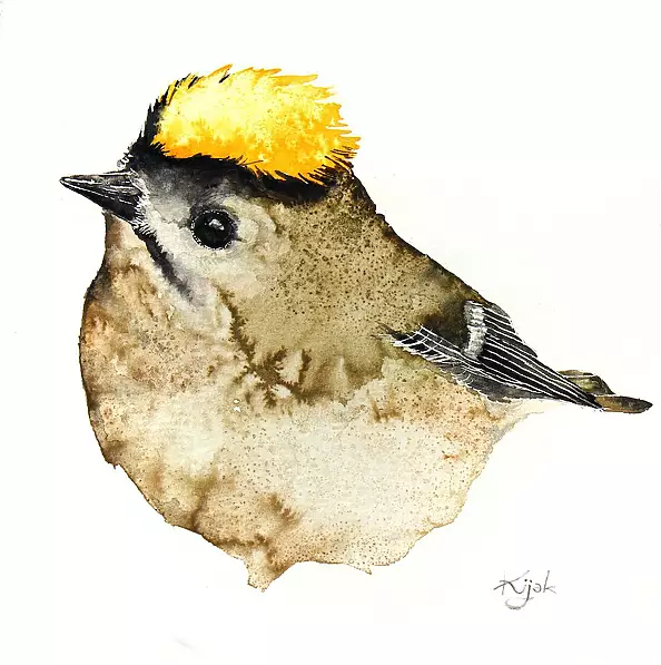 Karolina Kijak - Regulus