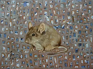 Amelia Augustyn - мышь