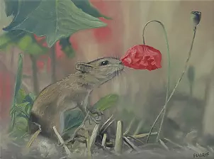 Wojciech Pater - Mouse and Poppy