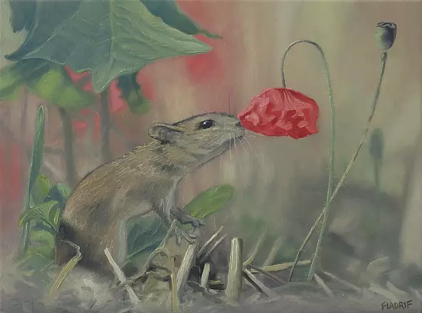Wojciech Pater - Mouse and Poppy