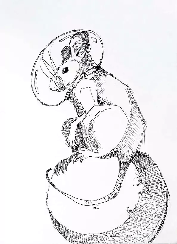 Adriana Laube - "Mysz kosmonautka"