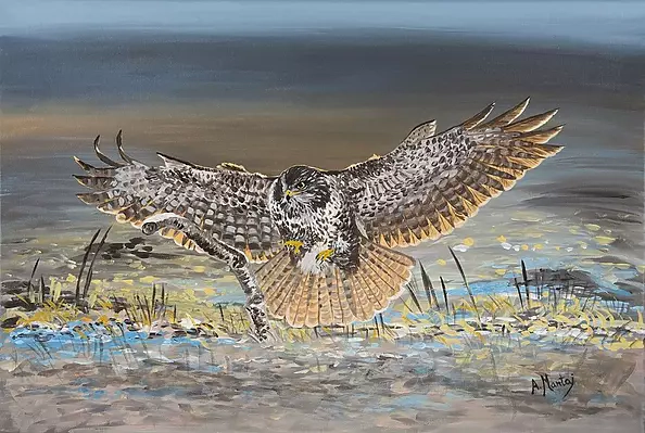 Agnieszka Mantaj - Buzzard