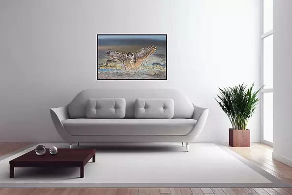 Agnieszka Mantaj - Buzzard