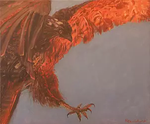 Rafał Czwichocki - Buzzard