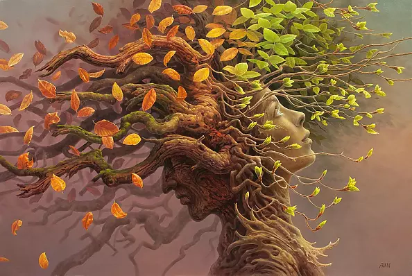 Tomasz Alen Kopera - N13